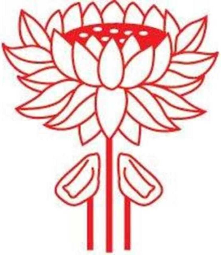 The Fifth Tiger Study of Thai Development Policy