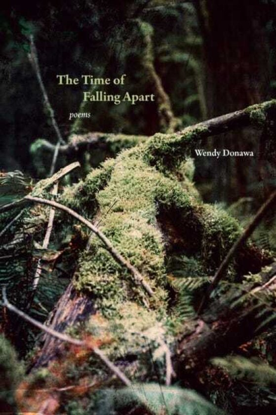 The Time of Falling Apart Poems