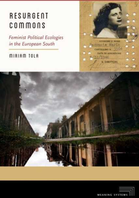 Resurgent Commons Feminist Political Ecologies in the European South