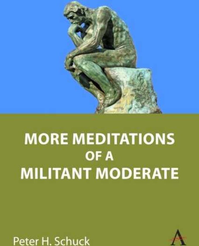 More Meditations of a Militant Moderate