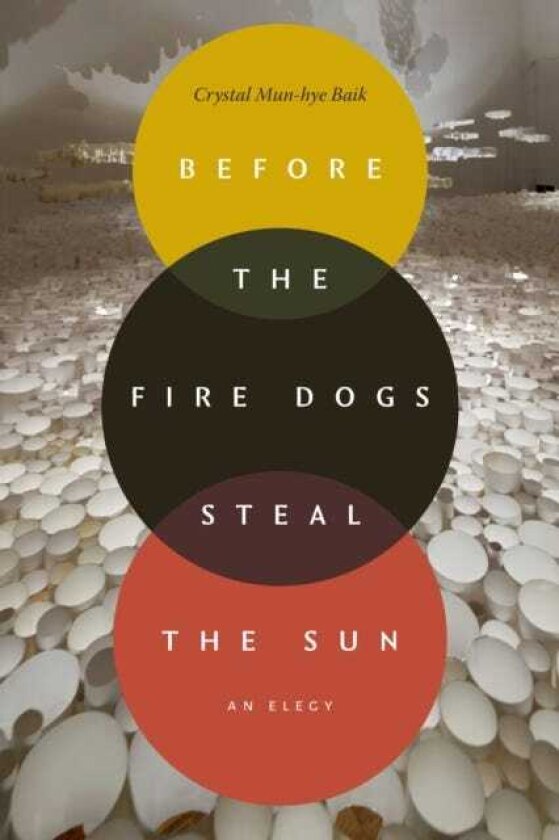 Before the Fire Dogs Steal the Sun An Elegy