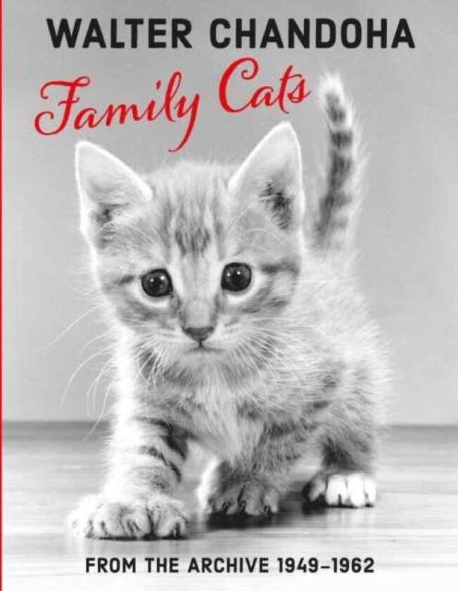 Walter Chandoha: Family Cats From the Archive 19501969