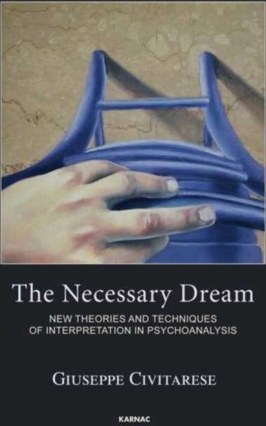 The Necessary Dream New Theories and Techniques of Interpretation in Psychoanalysis
