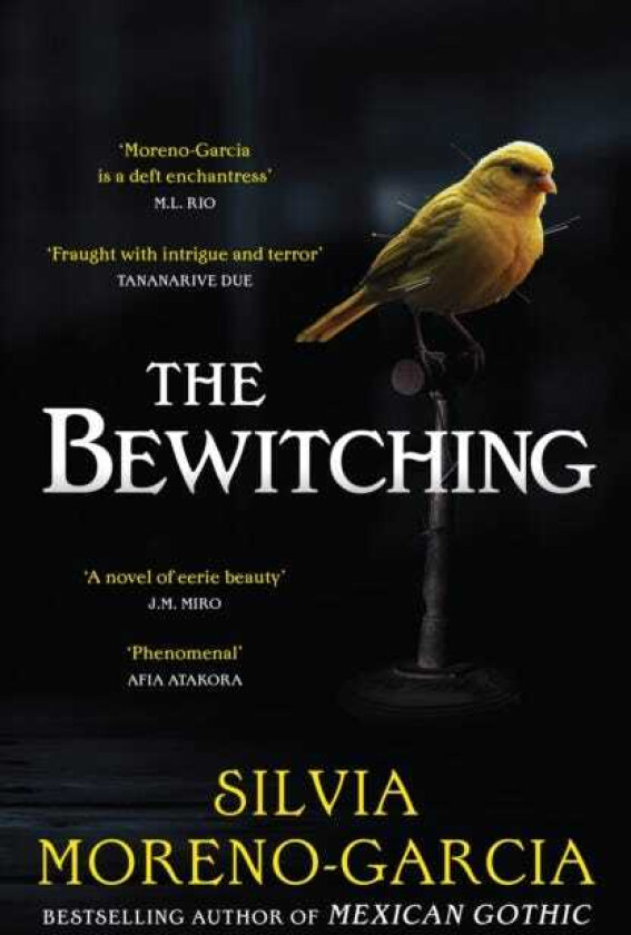 The Bewitching folk horror meets dark academia in this thrilling supernatural mystery from the bestselling author of Mexican Gothic