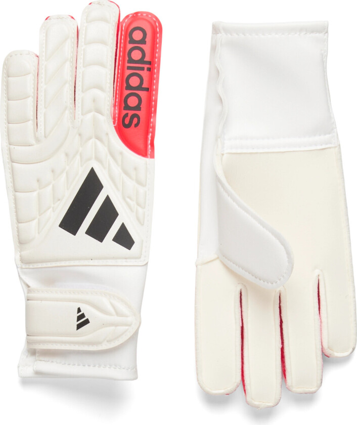 Copa Gl Clb J - Cream - 7