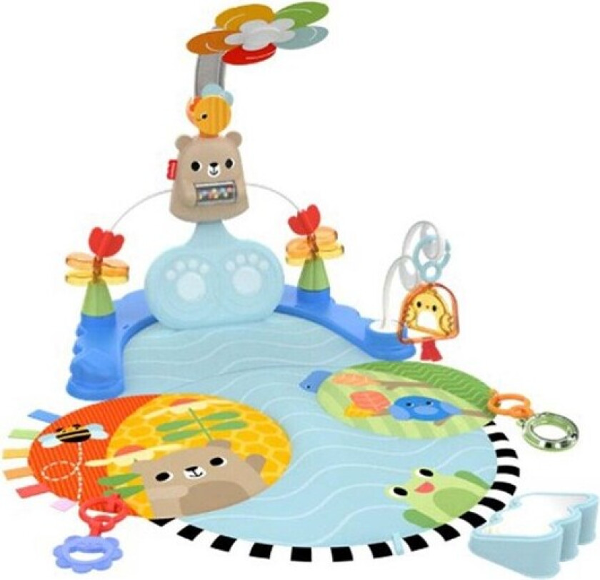 Fisher-Price HYR60 baby gym/play mat