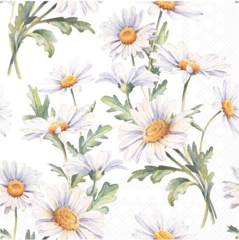 Serviett 33x33 cm 20 stk Beautiful Daisies