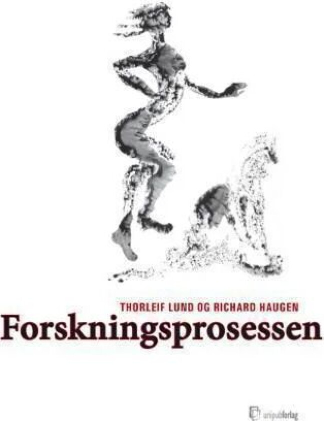 Forskningsprosessen av Cecilie Basberg Neumann, Iver B. Neumann