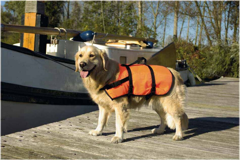 Bilde av Redningsvest L 23-41Kg -Hund