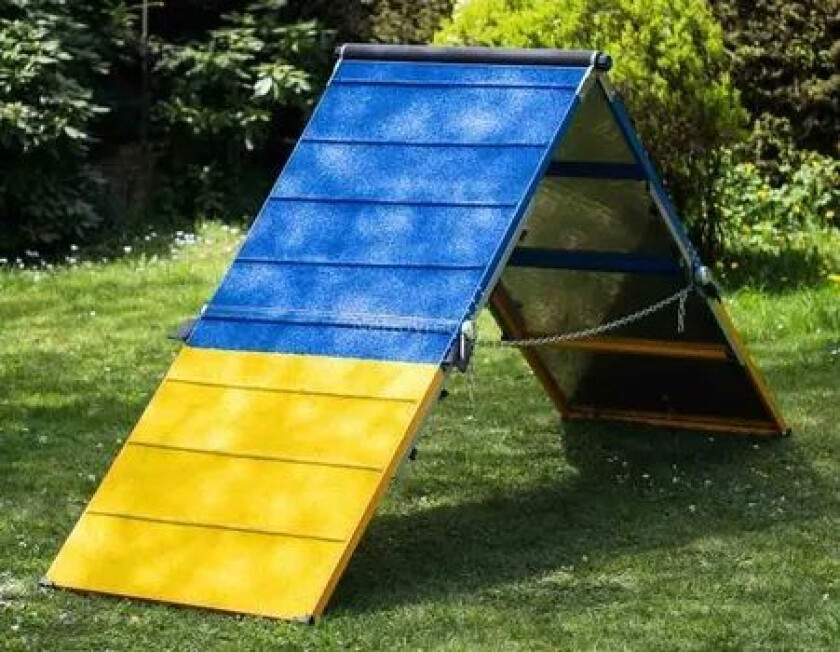 Bilde av Agility Profi Møne