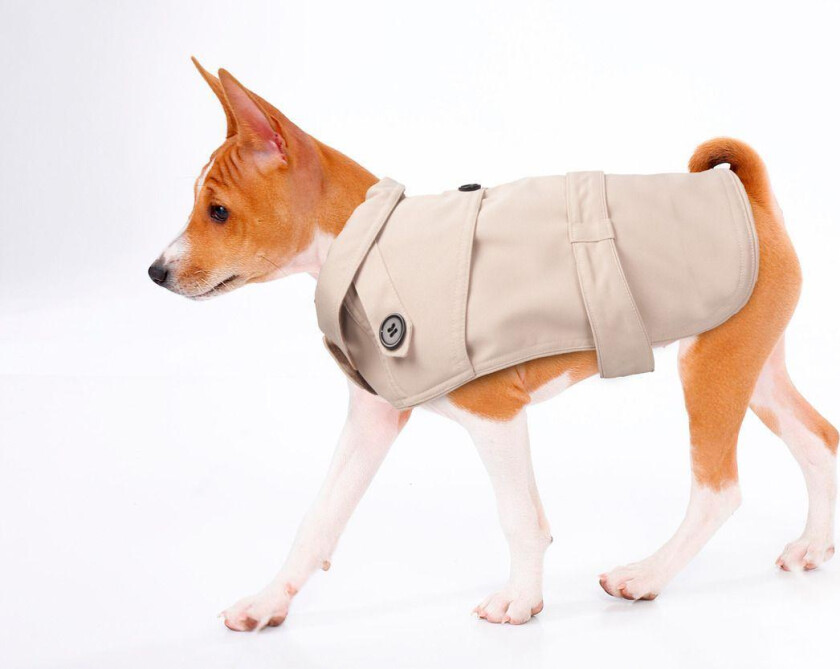 Hundedekken TrenchCoat 50cm