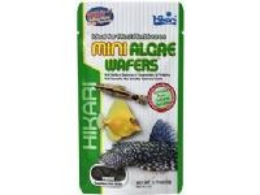 Bilde av HIKARI MINI ALGAE WAFERS 22 G