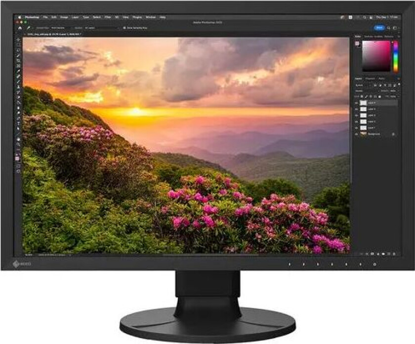 Eizo Monitor Coloredge Cs2400s 24" 1920 X 1200 16:10 Ips 60hz