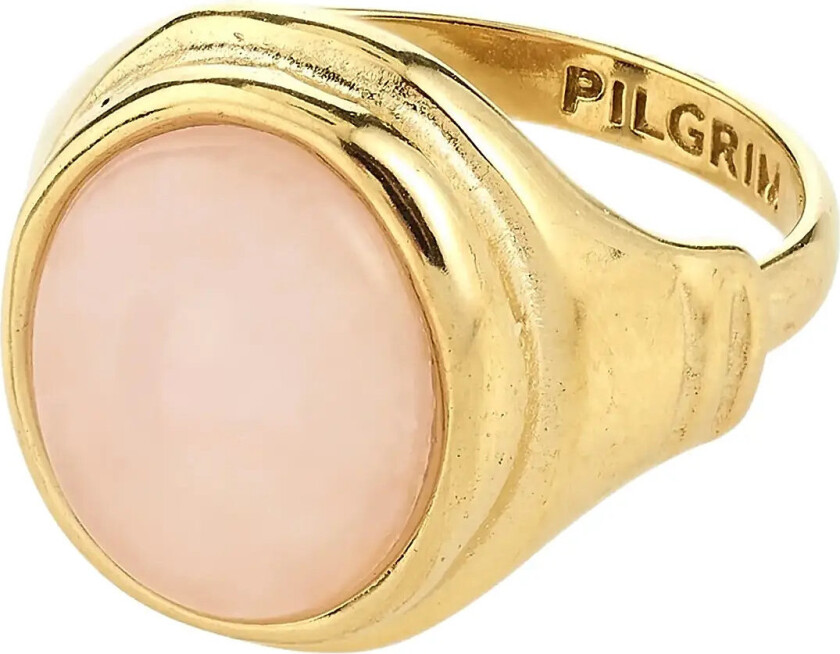 Lyndon Ring Gold-Plated - Gold - ONE SIZE