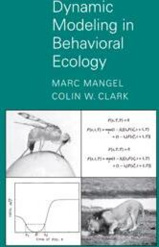 Dynamic Modeling in Behavioral Ecology