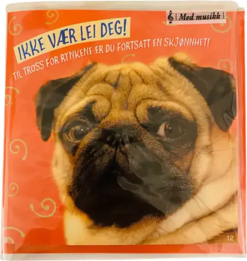 Bilde av Morsomt bursdagskort med musikk | Hund