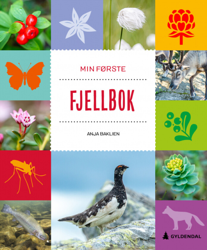 Min første fjellbok av Anja Baklien