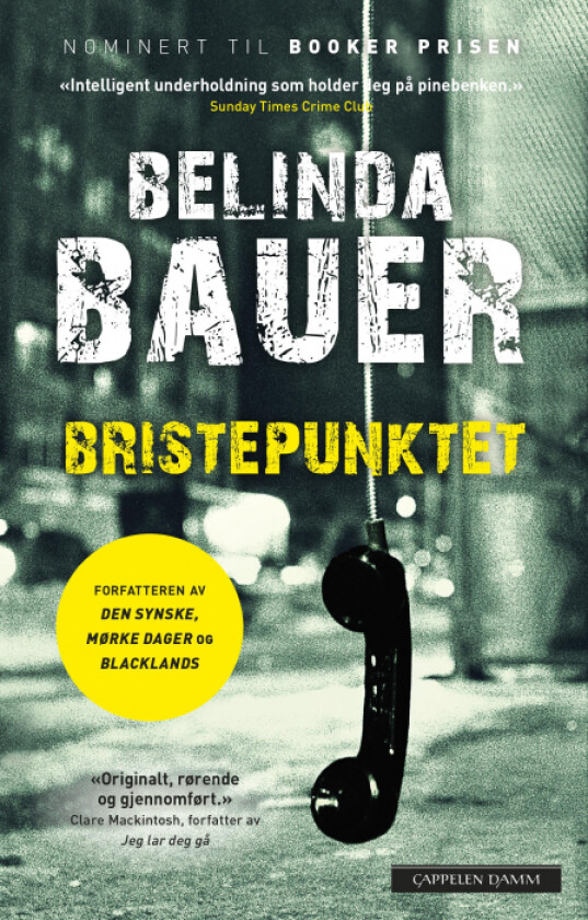 Bristepunktet av Belinda Bauer