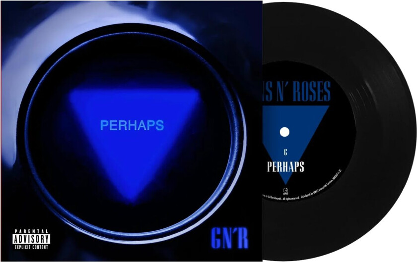 Guns N' Roses Perhaps / General LP/Vinyl