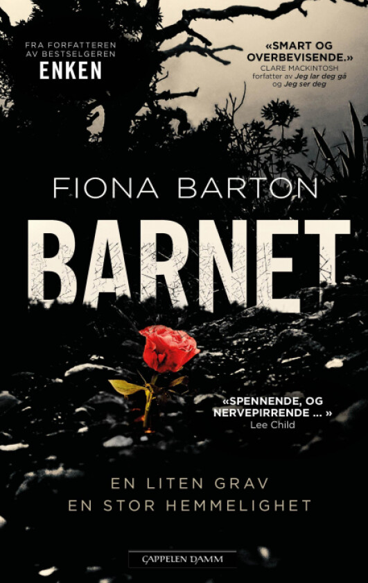 Barnet av Fiona Barton