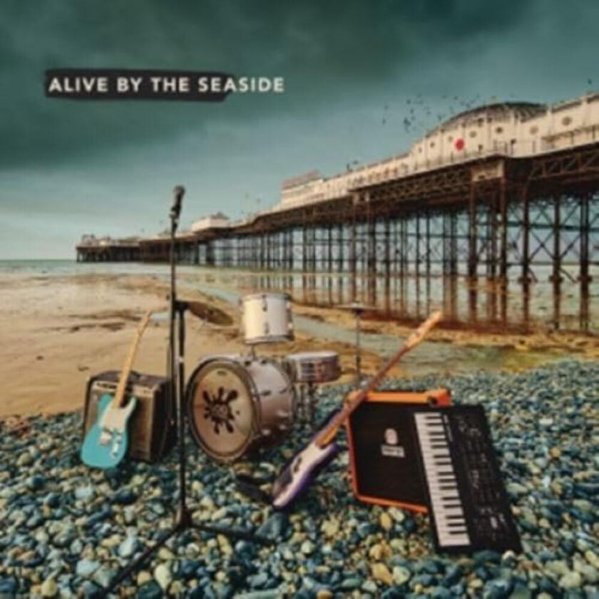 Diverse Artister Alive By The Seaside CD