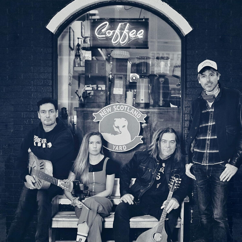 Alan Doyle Back To The Harbour CD