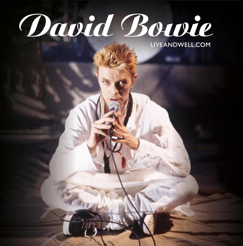 David Bowie Liveandwell.com LP/Vinyl
