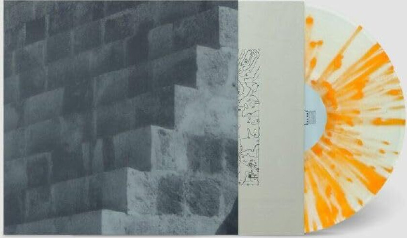 Pop Vulture Another Success LP/Vinyl