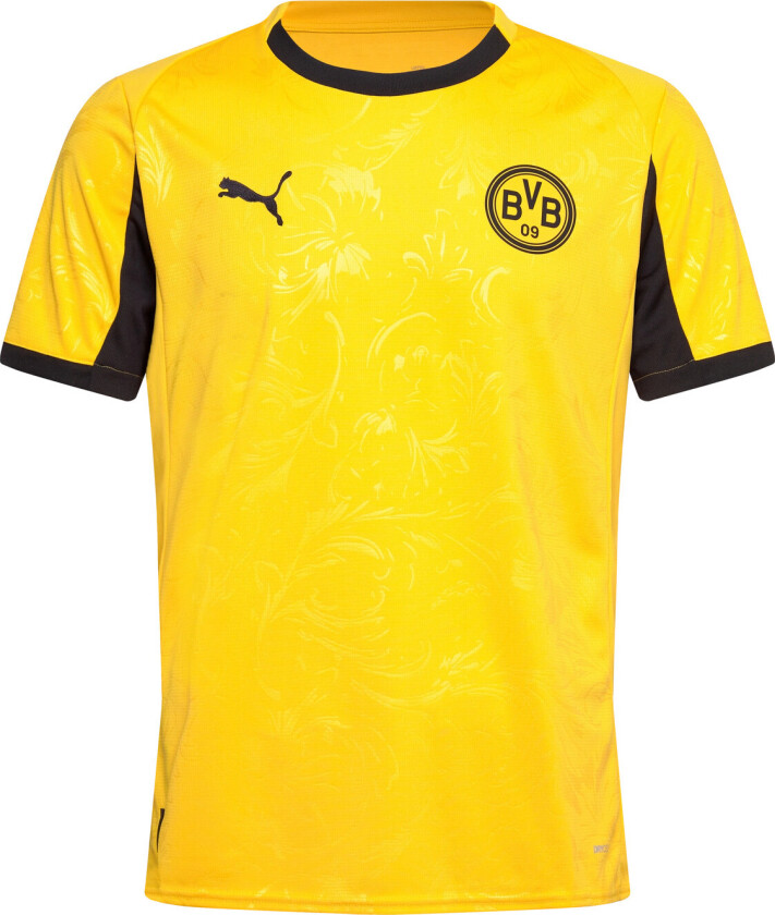 Bilde av Dortmund Cup Drakt 2025/26 - PUMA, størrelse Medium