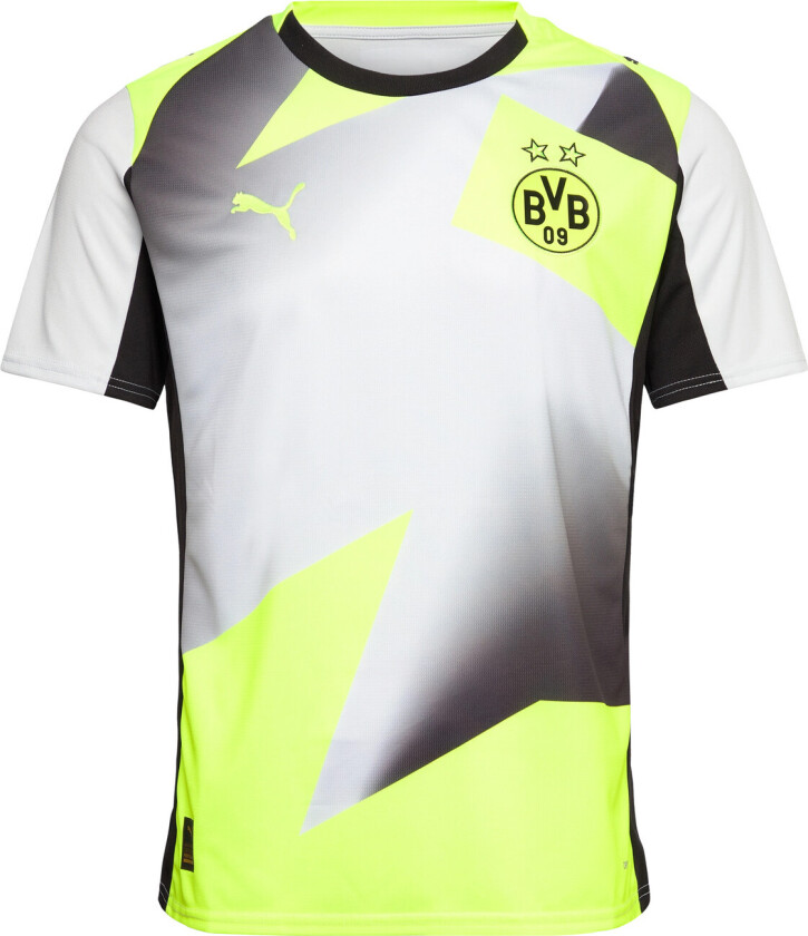 Bilde av Dortmund Bortedrakt 2025/26 - PUMA, størrelse Small