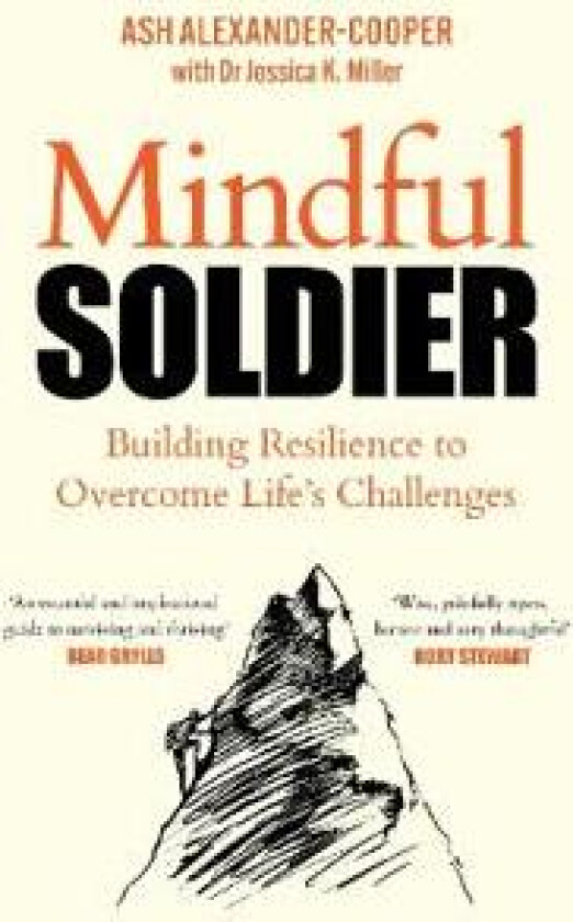 Mindful Soldier