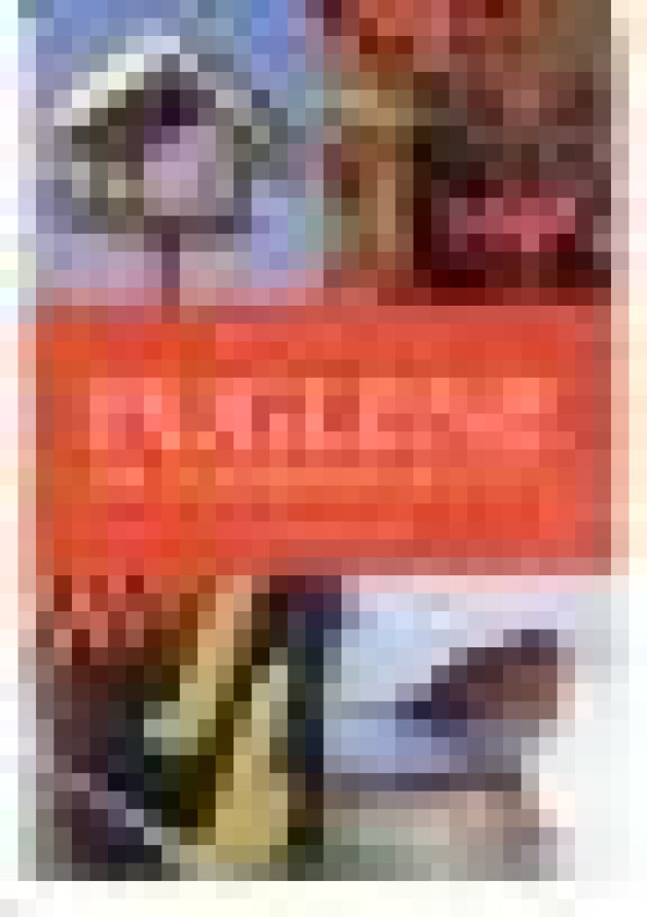 Fuglene på foderbrættet inkl. cd Tommy Dybbro Språk: Dansk