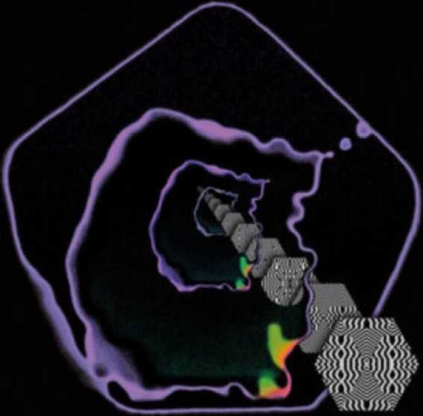 Acid Rooster Hall Of Mirrors CD