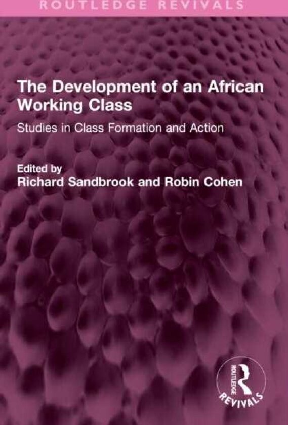 The Development of an African Working Class Studies in Class Formation and Action
