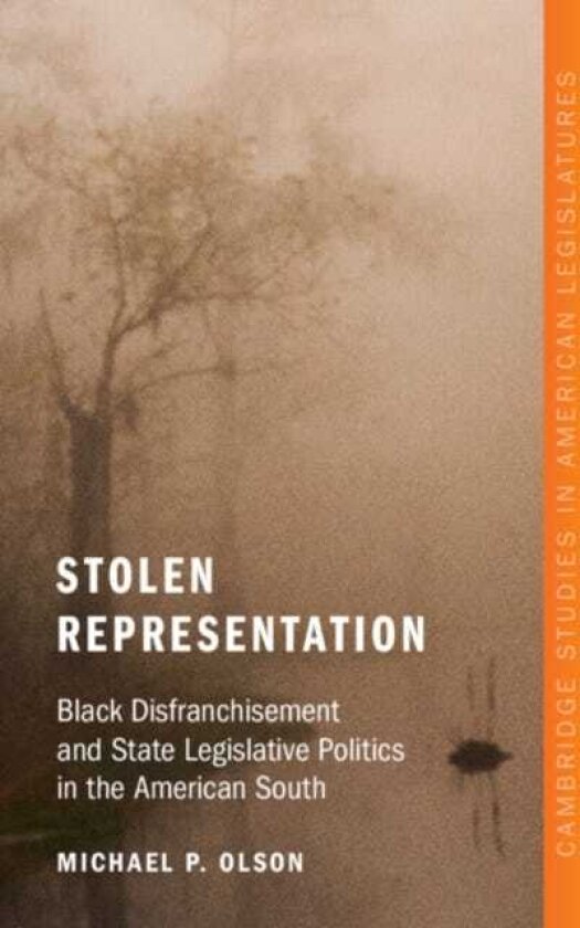 Stolen Representation Black Disfranchisement and State Legislative Politics in the American South
