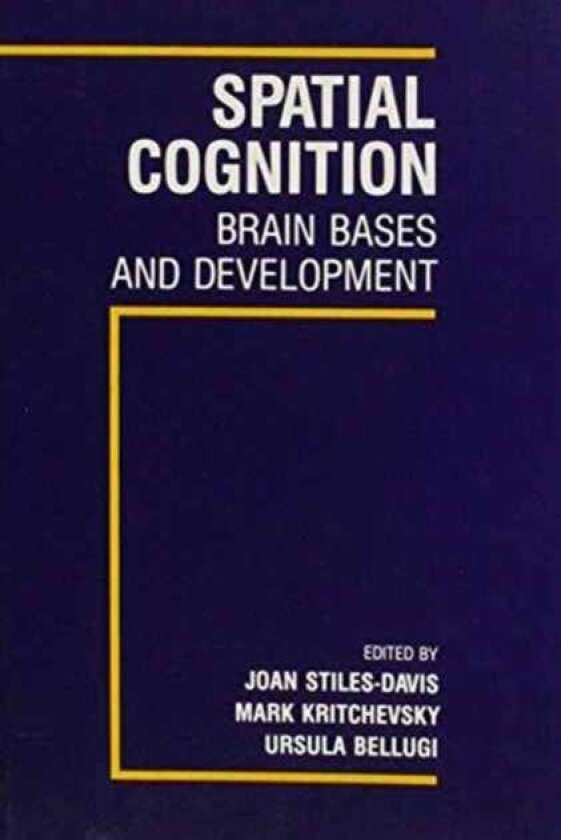 Spatial Cognition Brain Bases and Development
