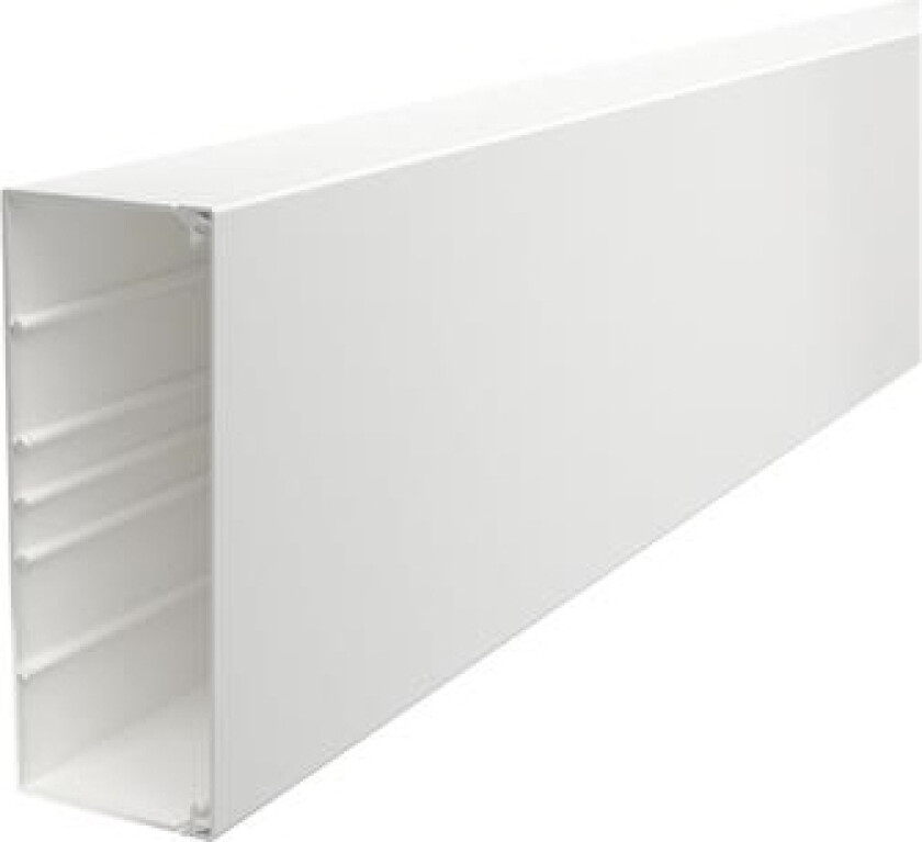 Obo Wdk Kabelkanal Komplet Incl. Kabelholder Og Låg Højde 80 Mm, Bredde 210 Mm, Længde 2000 Mm Perlehvid Ral 9016 Bly-Fri Plast - (2 Meter)