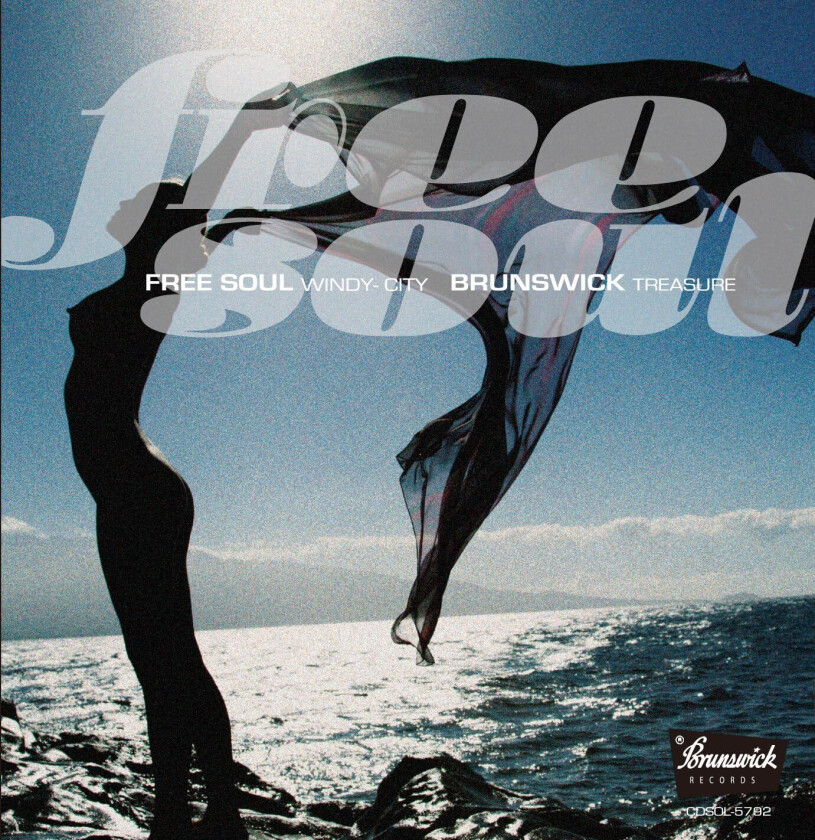 Diverse Artister Free Soul Windy City Brunswick Treasure / Var CD