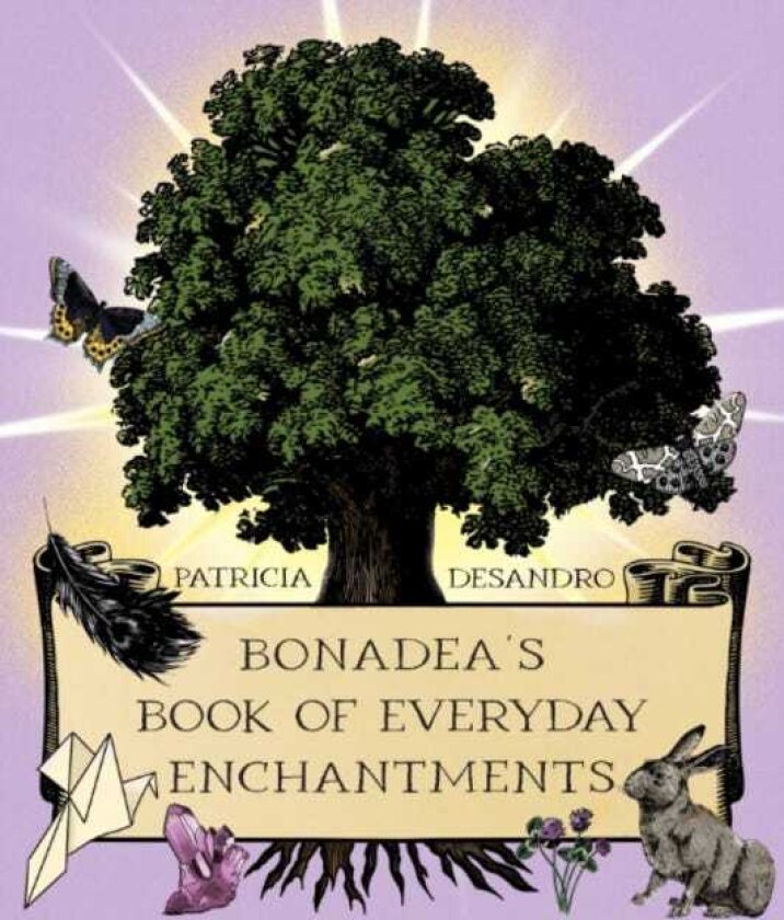 Bonadea'S Book of Everyday Enchantments
