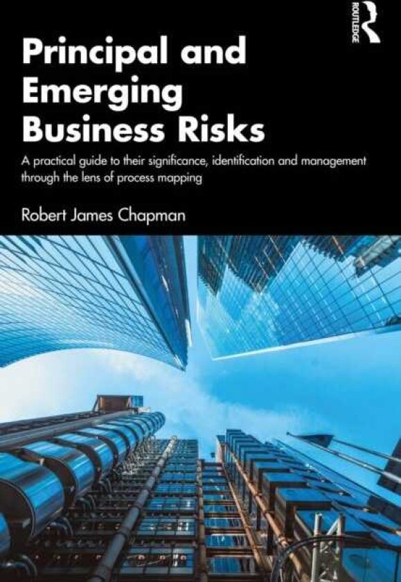 Principal and Emerging Business Risks A Practical Guide to their Significance, Identification and Management through the Lens of Process Mapping