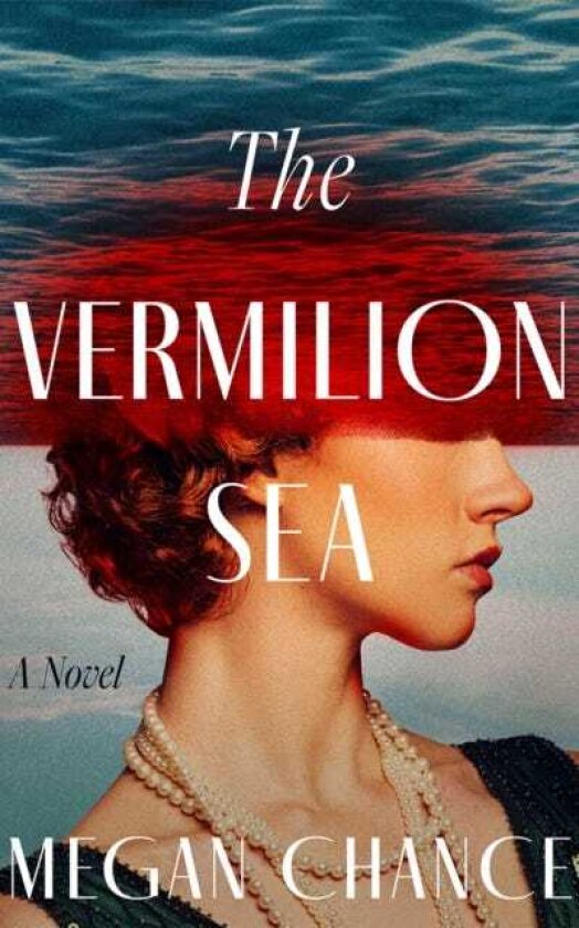 The Vermilion Sea A Novel