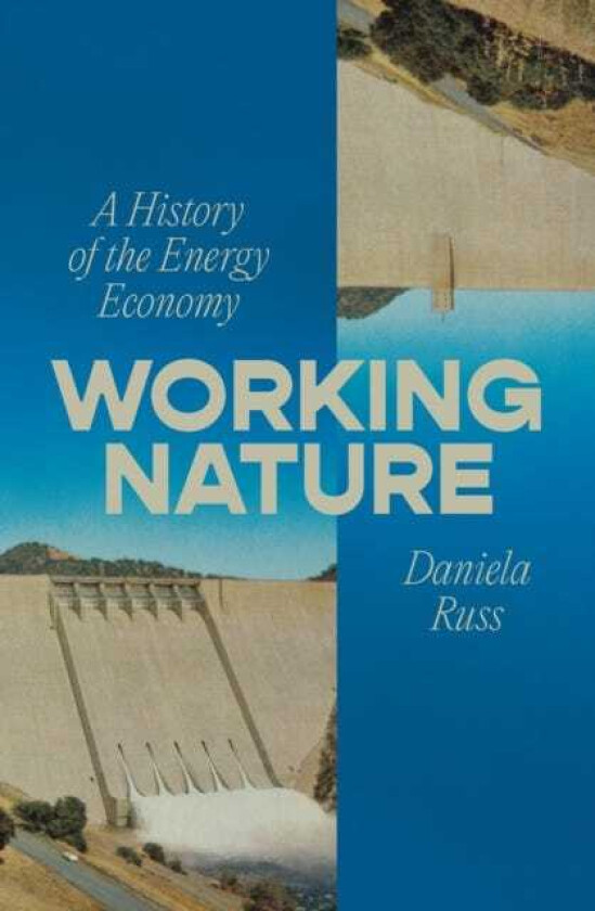 Working Nature A History of the Energy Economy