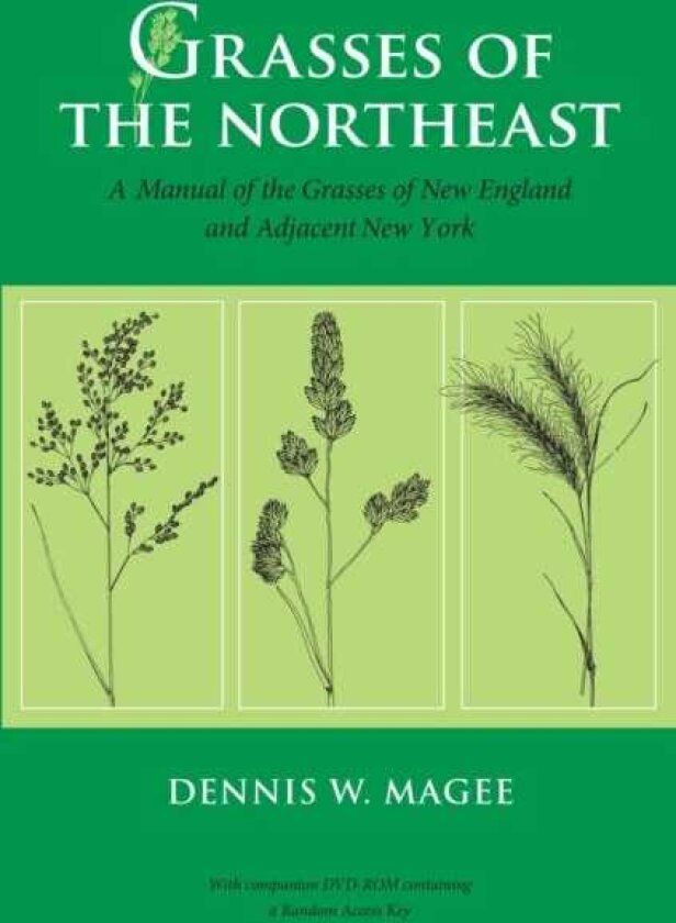 Grasses of the Northeast A Manual of the Grasses of New England and Adjacent New York
