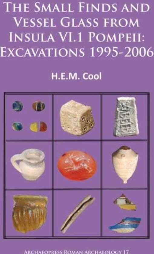 The Small Finds and Vessel Glass from Insula VI.1 Pompeii: Excavations 19952006