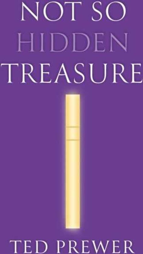 Not So Hidden Treasure