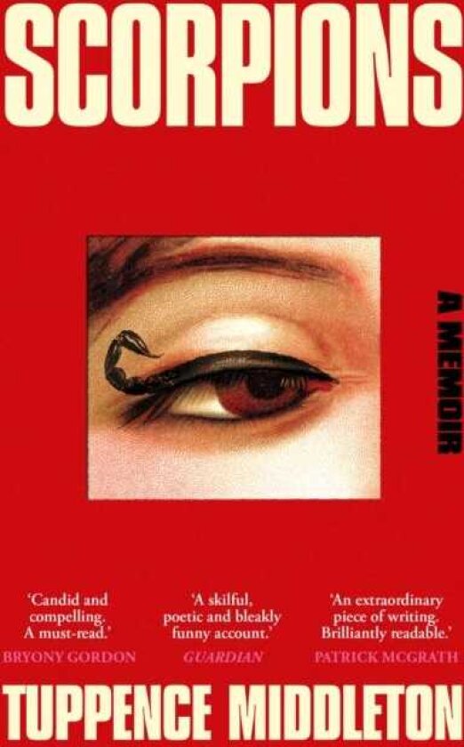 Scorpions A Memoir