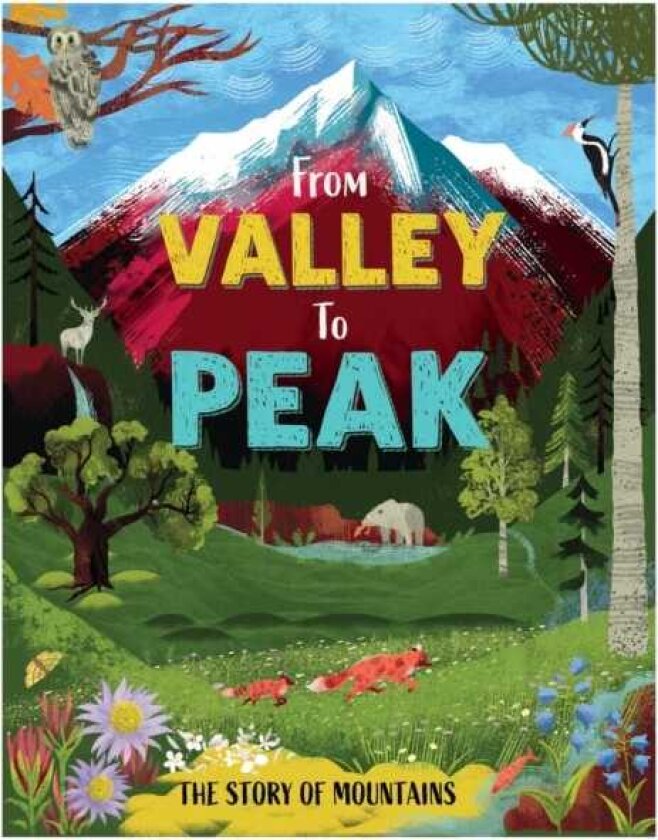 From Valley to Peak: The Story of Mountains