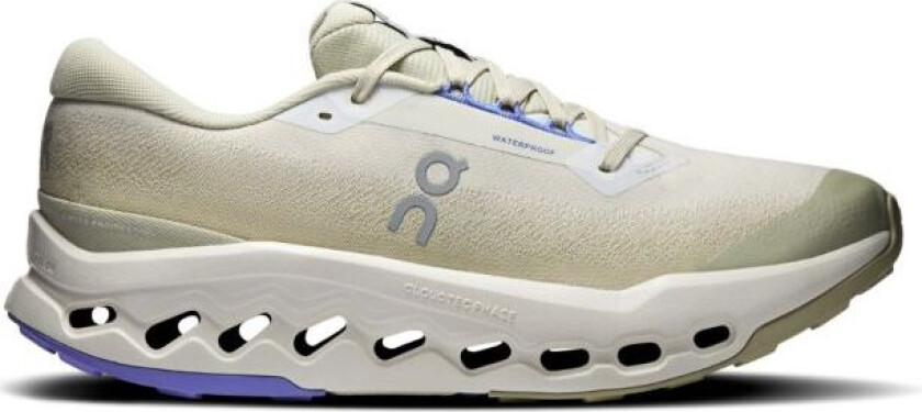 Cloudsurfer Trail 2 WP