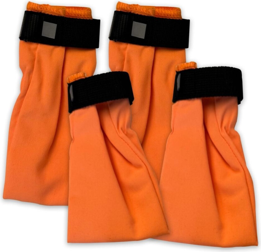 Companion Potesokker - Small