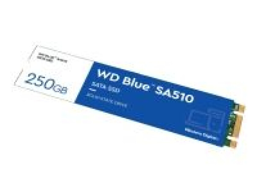 Blue SA510 SSD - 250GB - SATA-600 - M.2 2280